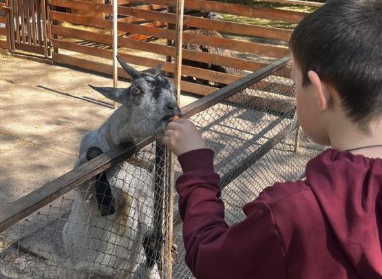 Маленькі підопічні Соціального центру знайомились зі світом тварин