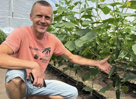 Від ідеї до успішного господарства: результати грантової підтримки AGRIS 3