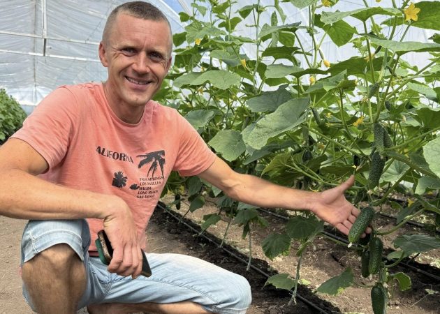 Від ідеї до успішного господарства: результати грантової підтримки AGRIS 3 
